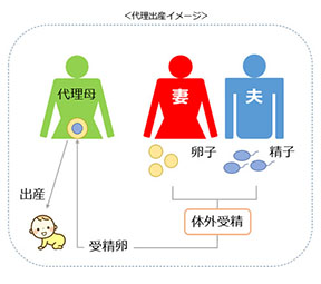 出産 と は 代理 【法律】日本、海外の代理出産をとりまく状況【合法違法】